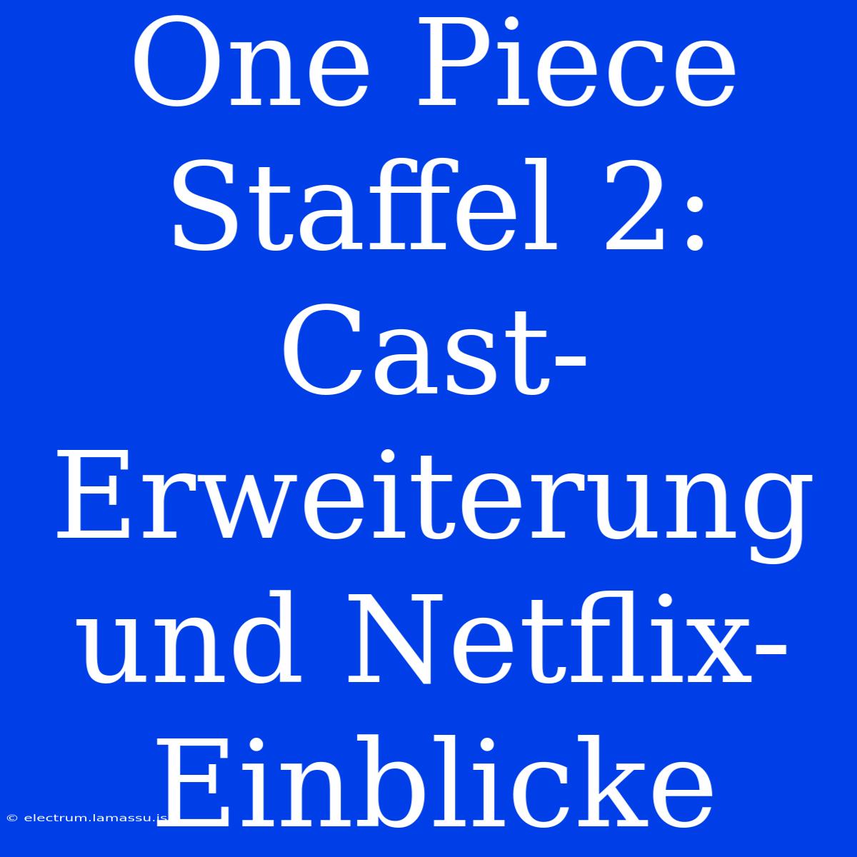 One Piece Staffel 2: Cast-Erweiterung Und Netflix-Einblicke