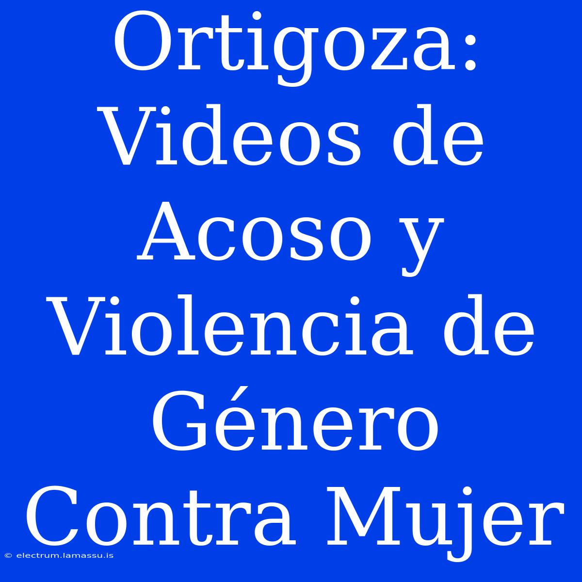 Ortigoza: Videos De Acoso Y Violencia De Género Contra Mujer