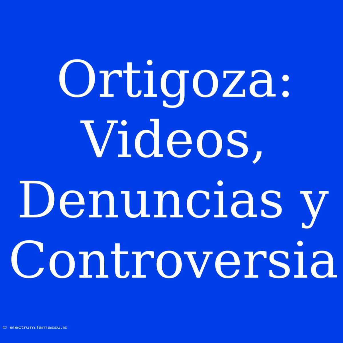 Ortigoza: Videos, Denuncias Y Controversia