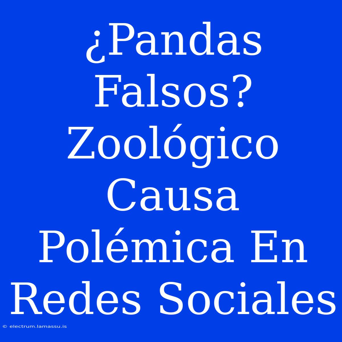 ¿Pandas Falsos? Zoológico Causa Polémica En Redes Sociales