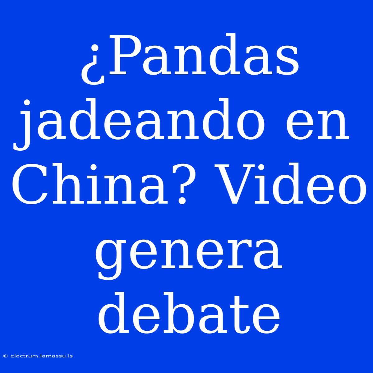 ¿Pandas Jadeando En China? Video Genera Debate