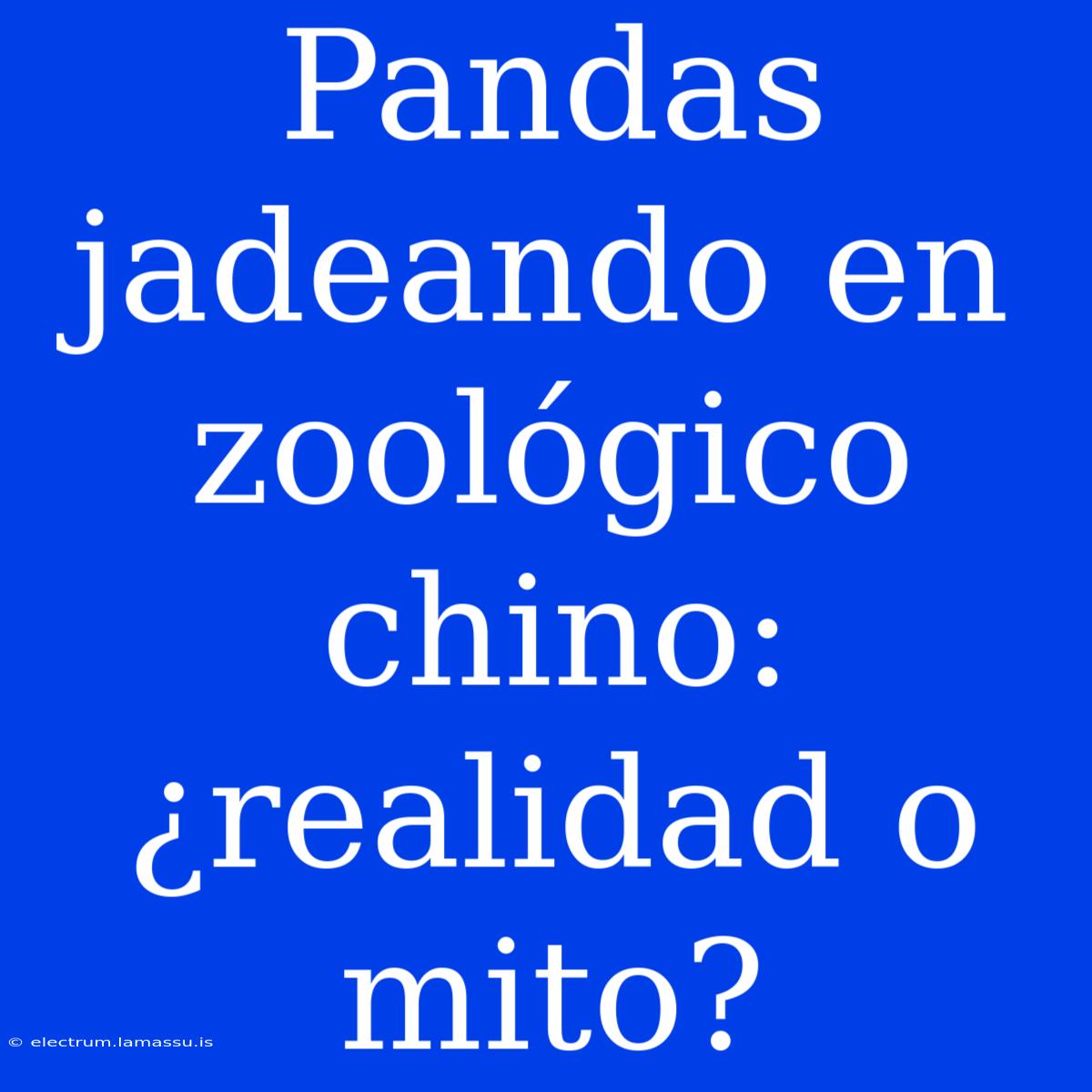 Pandas Jadeando En Zoológico Chino: ¿realidad O Mito?