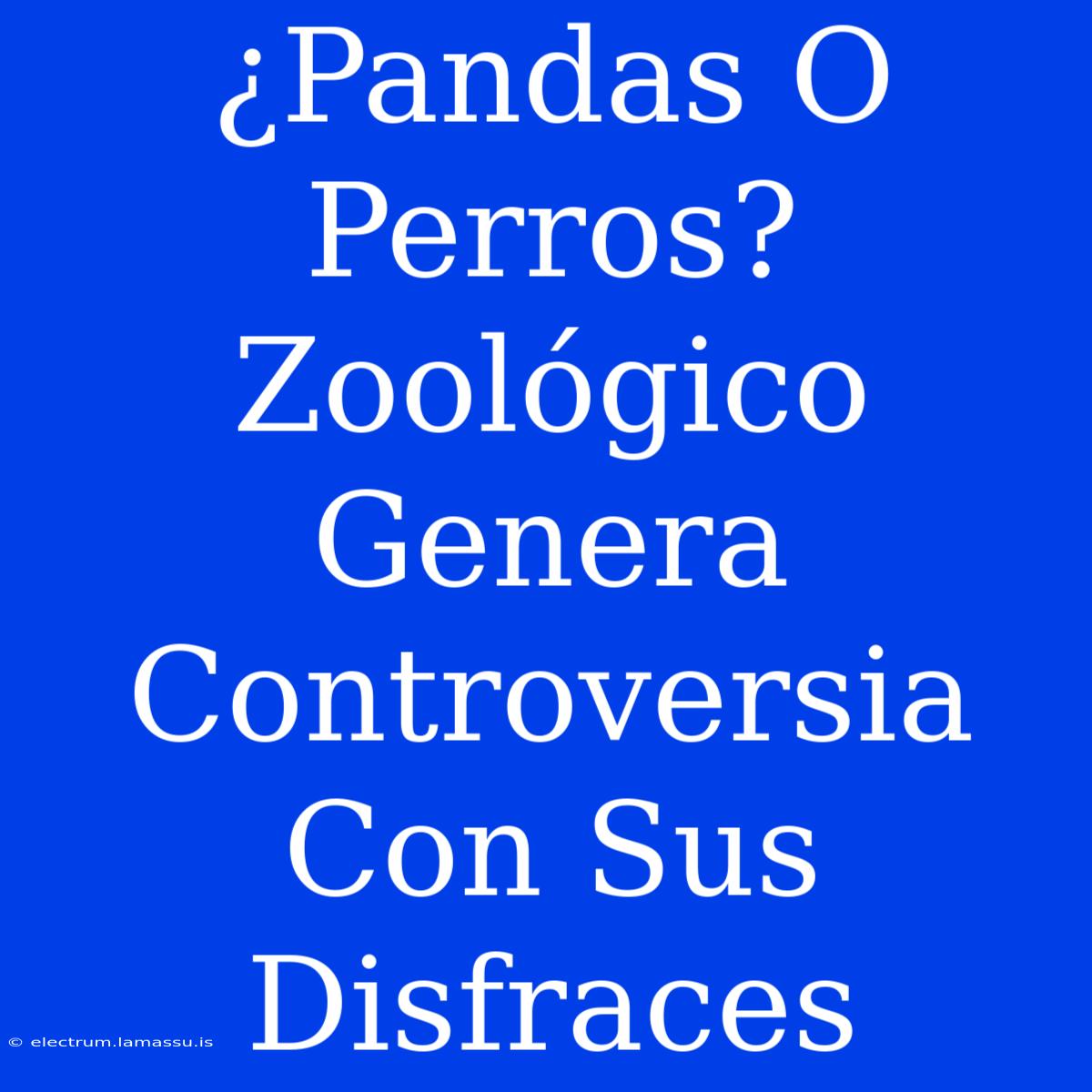 ¿Pandas O Perros? Zoológico Genera Controversia Con Sus Disfraces