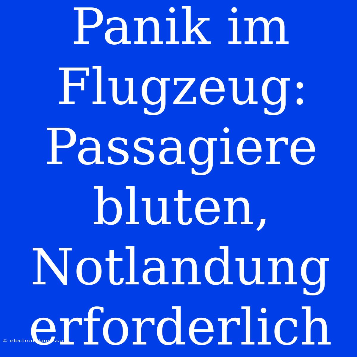 Panik Im Flugzeug: Passagiere Bluten, Notlandung Erforderlich