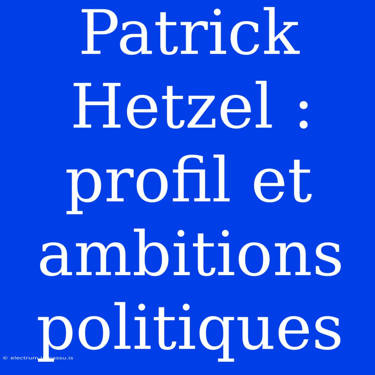 Patrick Hetzel : Profil Et Ambitions Politiques