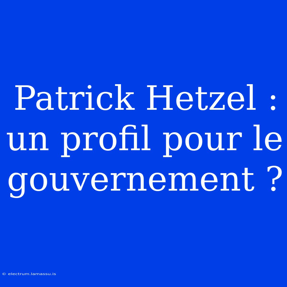 Patrick Hetzel : Un Profil Pour Le Gouvernement ?