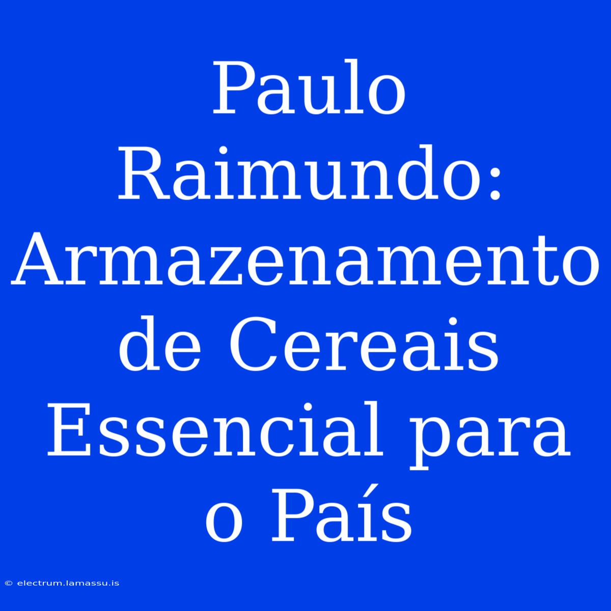 Paulo Raimundo: Armazenamento De Cereais Essencial Para O País