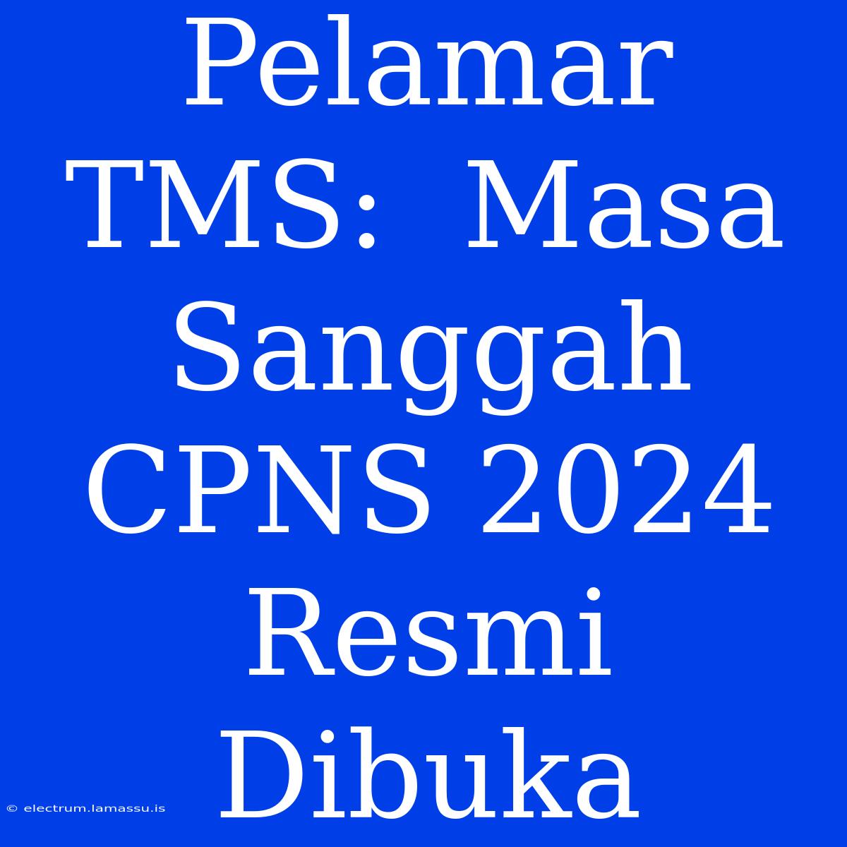 Pelamar TMS:  Masa Sanggah CPNS 2024 Resmi Dibuka