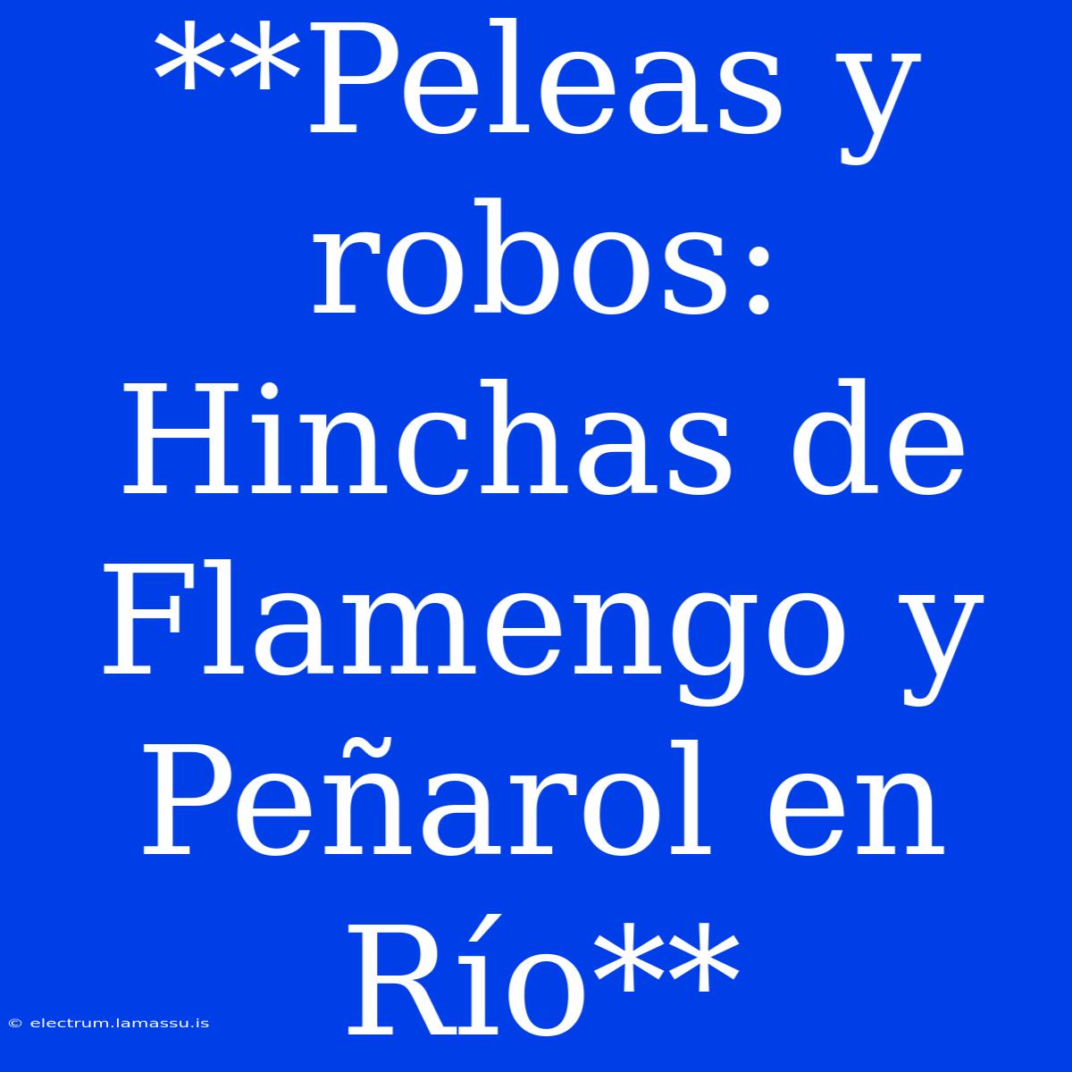 **Peleas Y Robos: Hinchas De Flamengo Y Peñarol En Río**