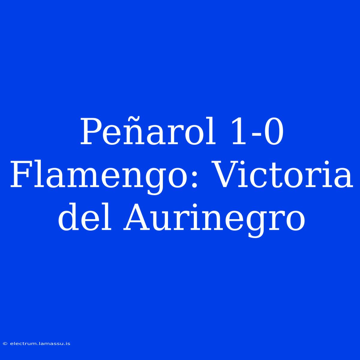 Peñarol 1-0 Flamengo: Victoria Del Aurinegro