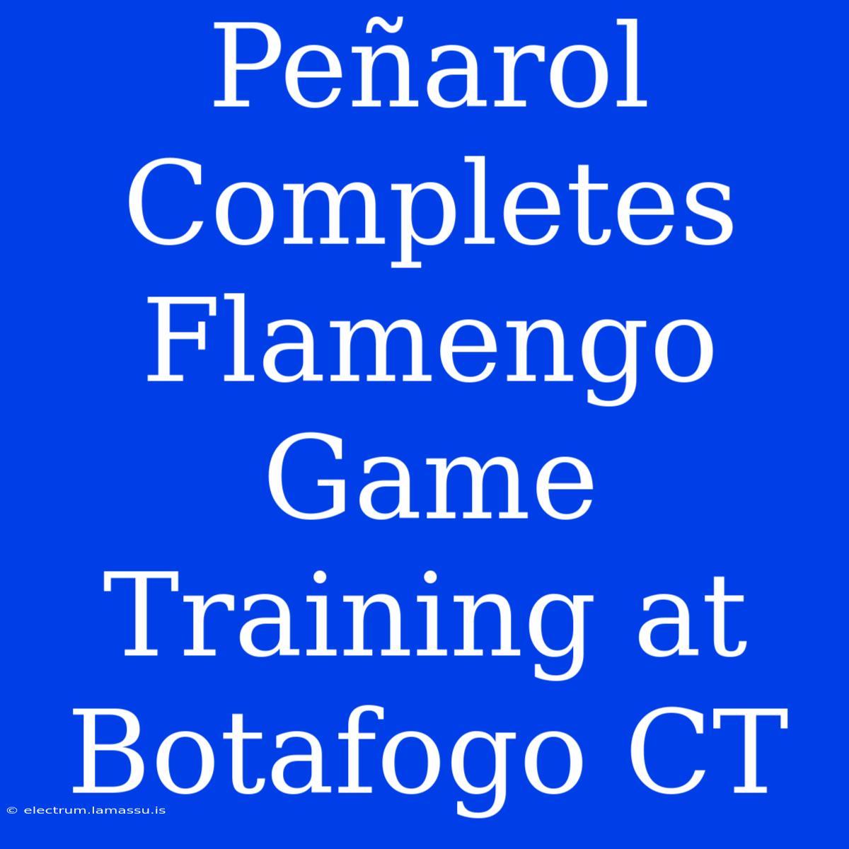 Peñarol Completes Flamengo Game Training At Botafogo CT