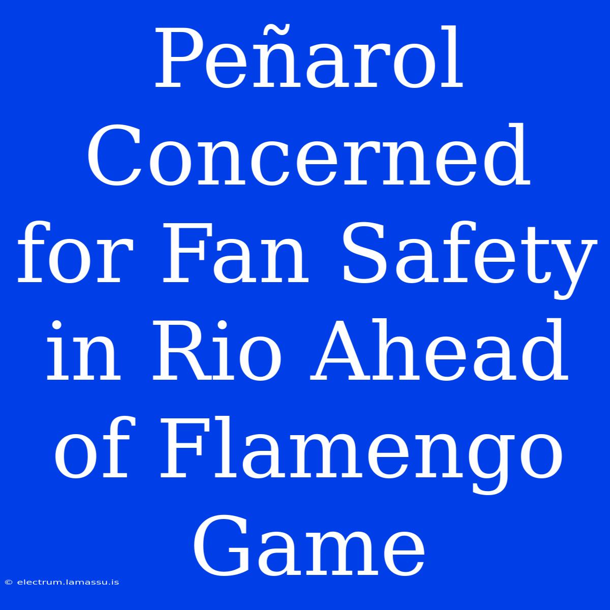 Peñarol Concerned For Fan Safety In Rio Ahead Of Flamengo Game