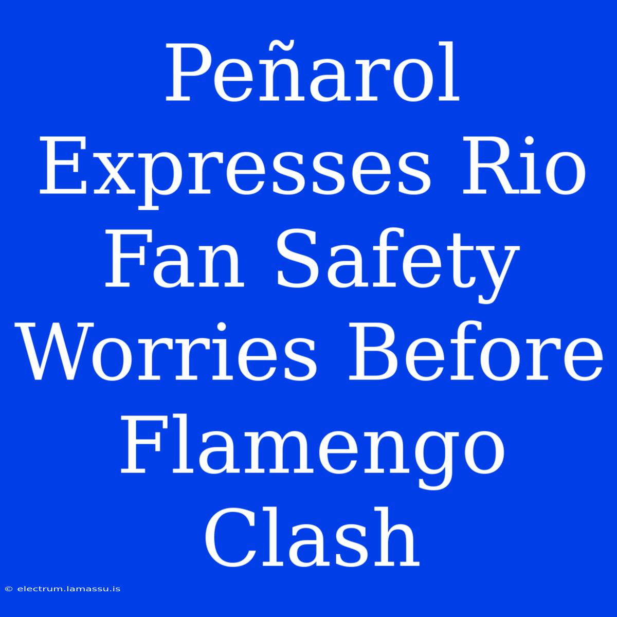 Peñarol Expresses Rio Fan Safety Worries Before Flamengo Clash