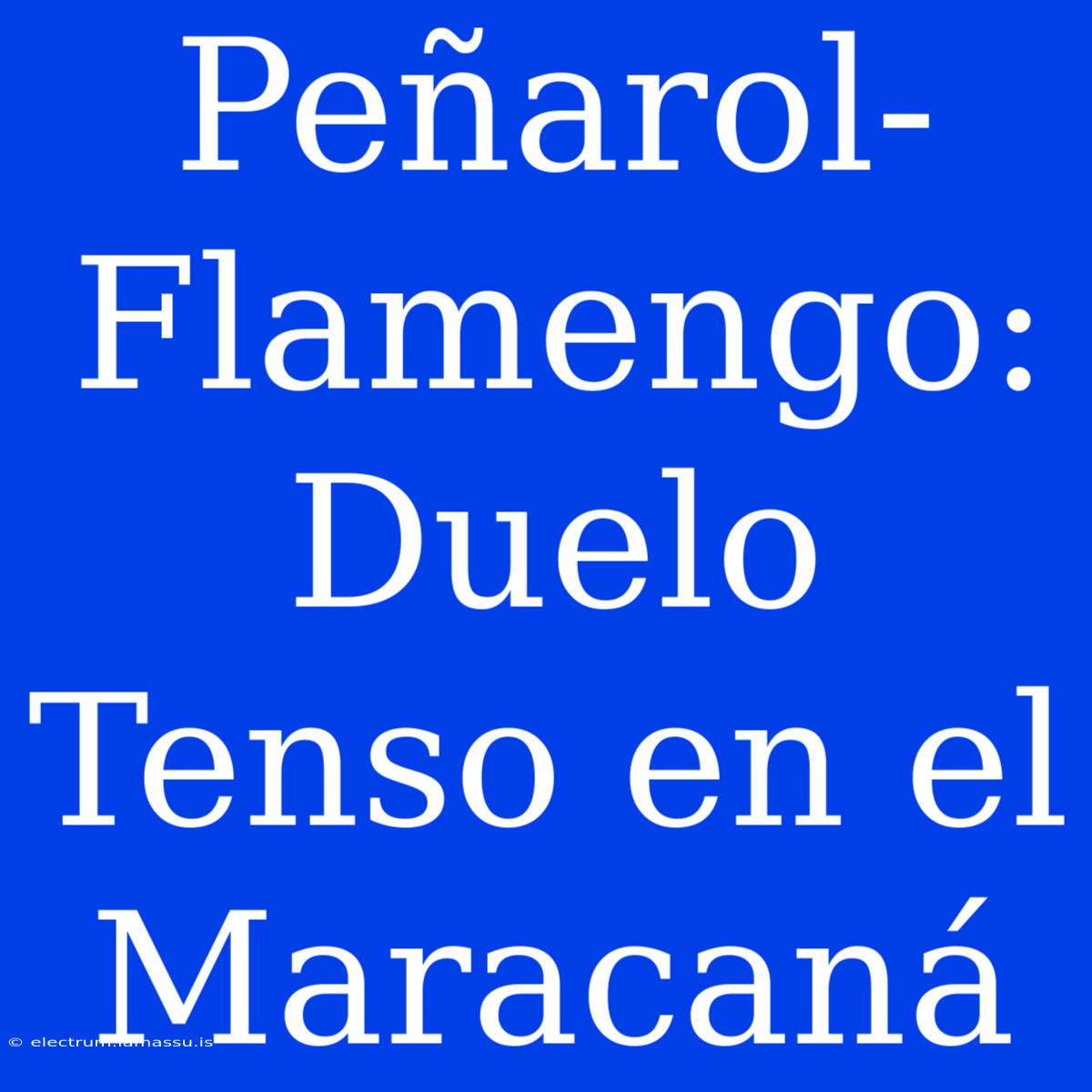 Peñarol-Flamengo: Duelo Tenso En El Maracaná