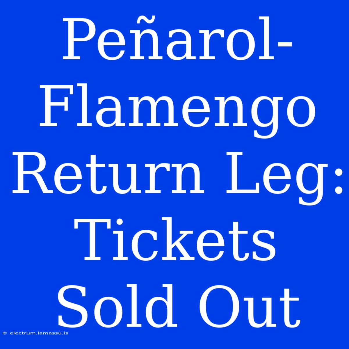 Peñarol-Flamengo Return Leg: Tickets Sold Out