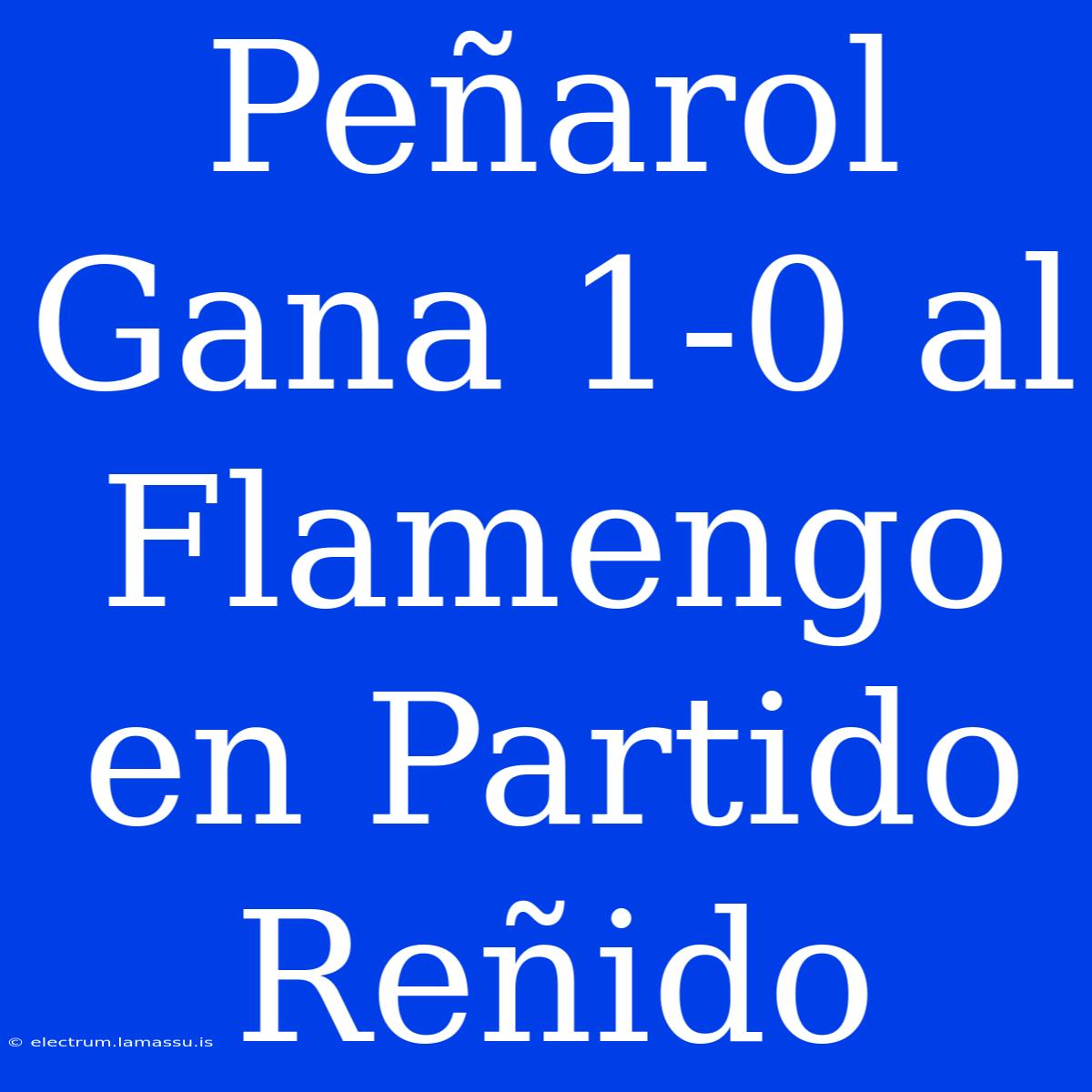 Peñarol Gana 1-0 Al Flamengo En Partido Reñido