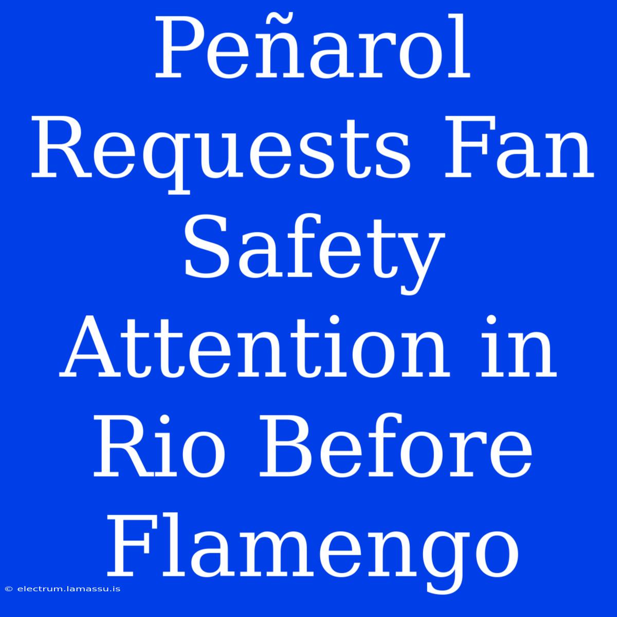 Peñarol Requests Fan Safety Attention In Rio Before Flamengo