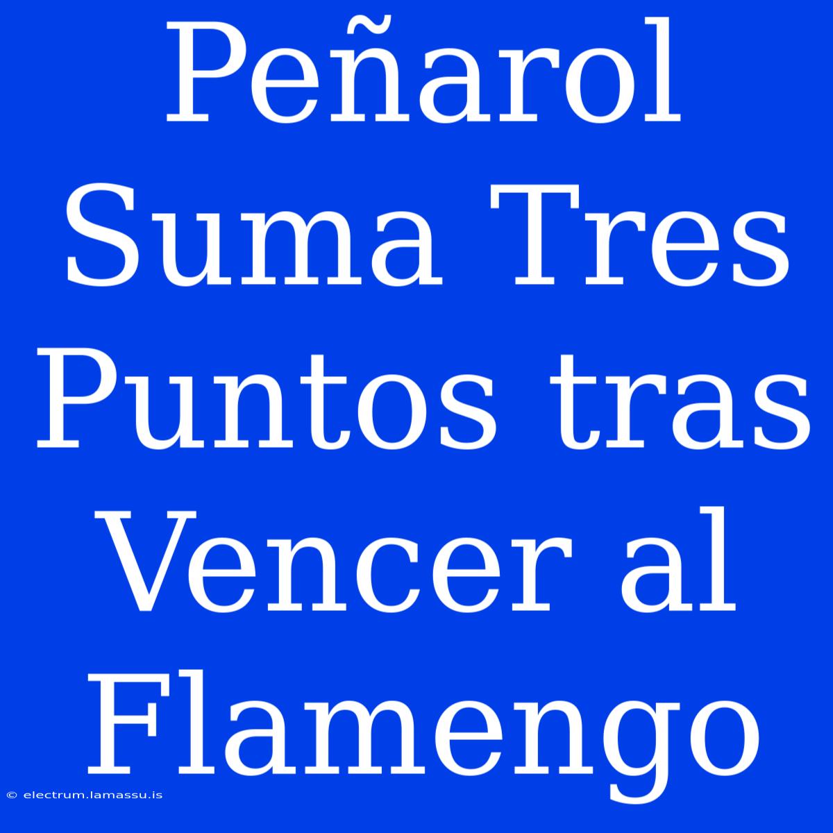 Peñarol Suma Tres Puntos Tras Vencer Al Flamengo