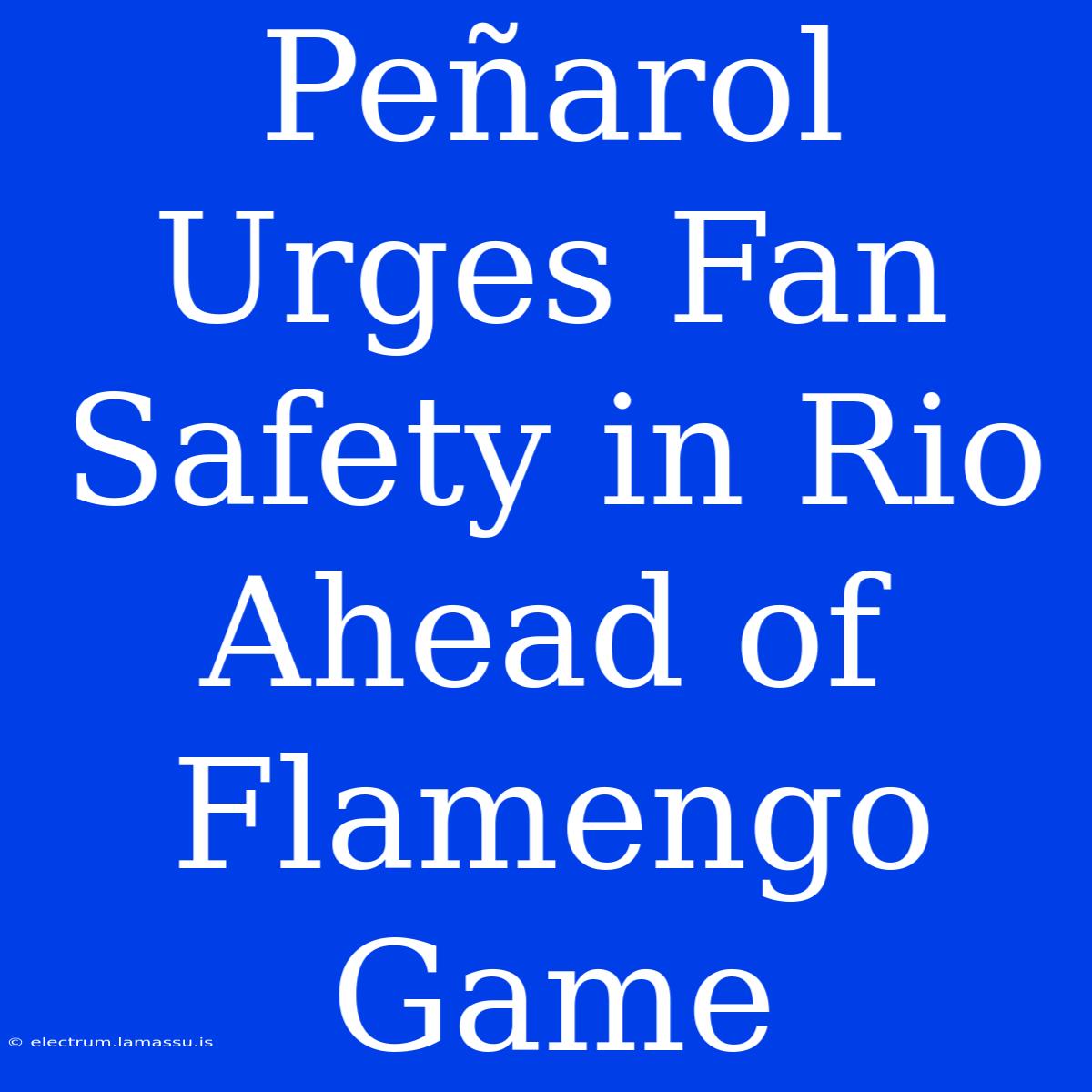 Peñarol Urges Fan Safety In Rio Ahead Of Flamengo Game 