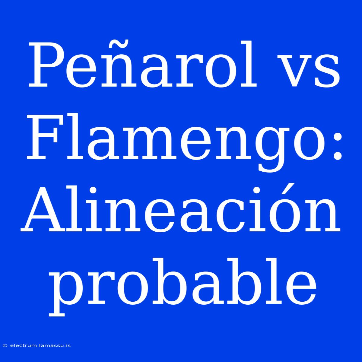 Peñarol Vs Flamengo: Alineación Probable