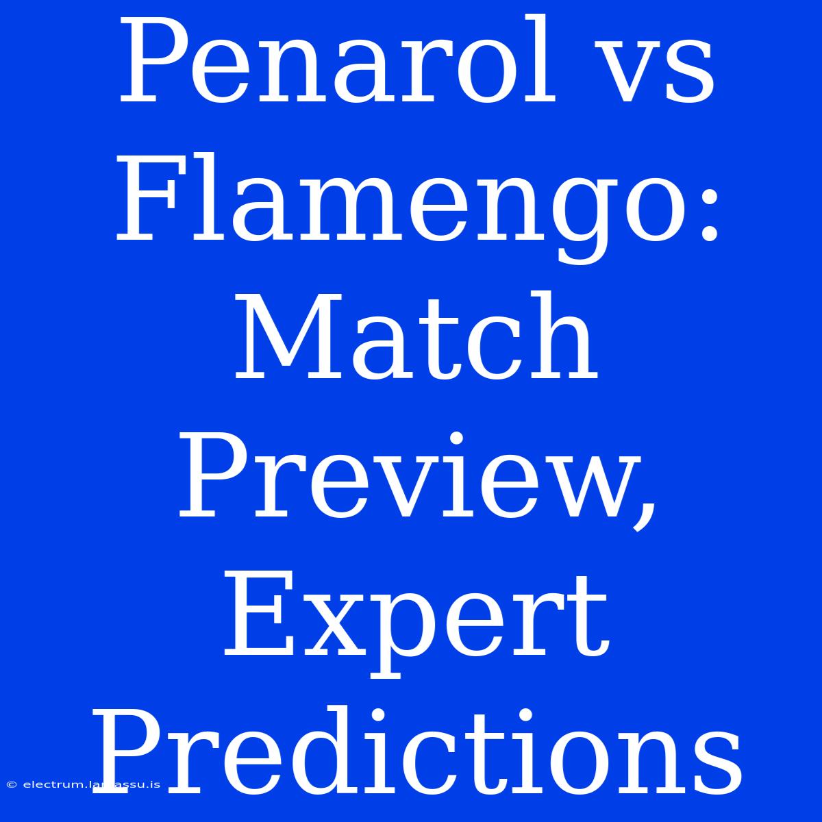 Penarol Vs Flamengo: Match Preview, Expert Predictions