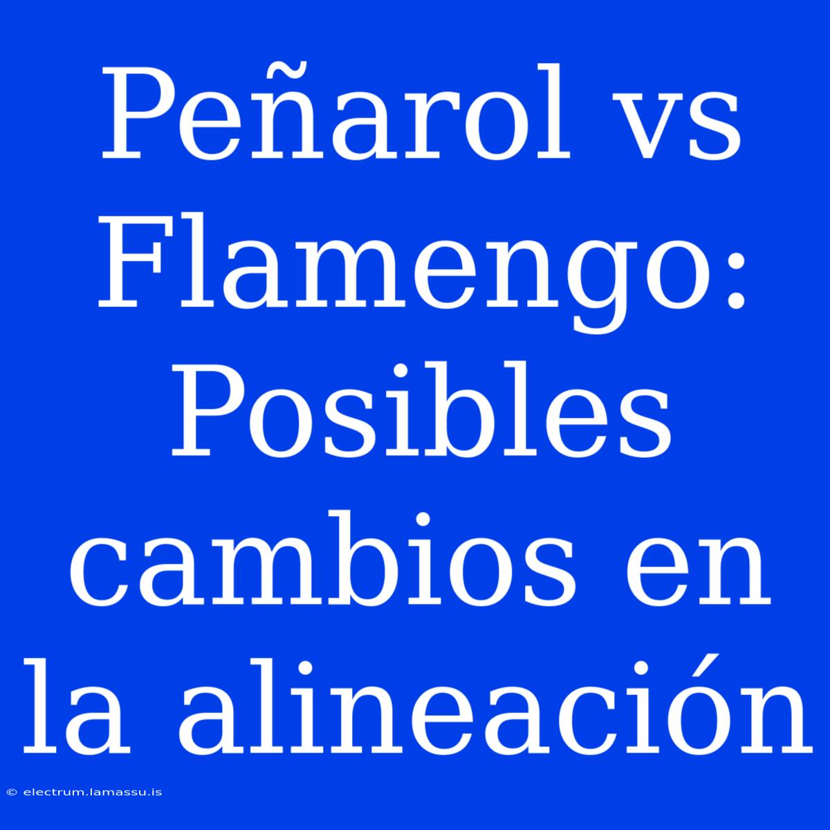 Peñarol Vs Flamengo: Posibles Cambios En La Alineación