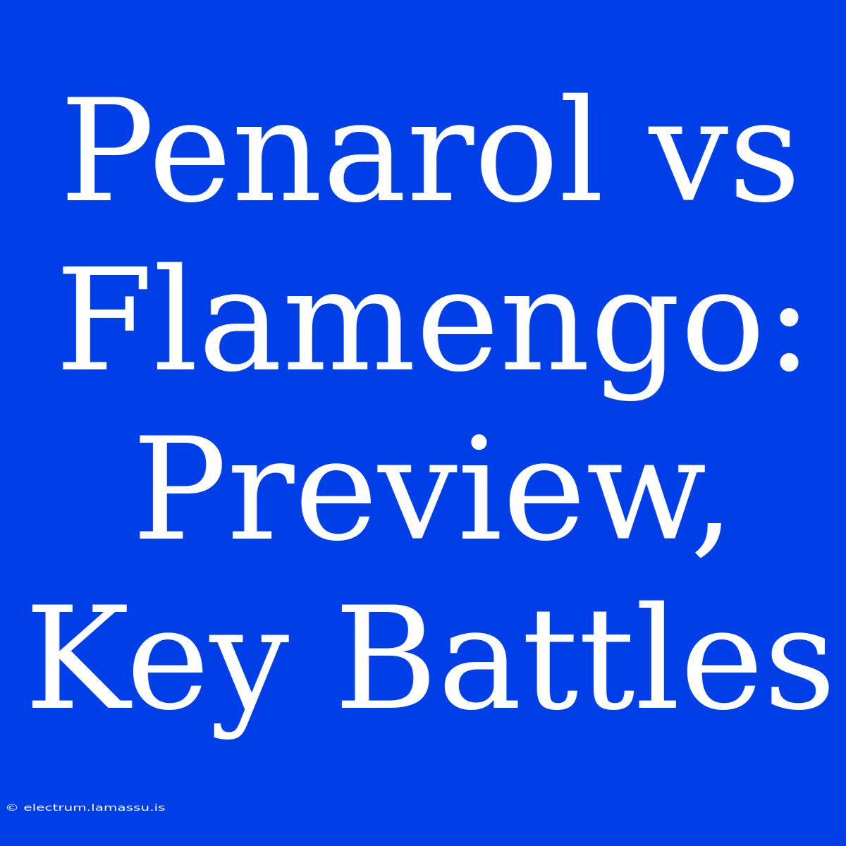 Penarol Vs Flamengo: Preview, Key Battles 