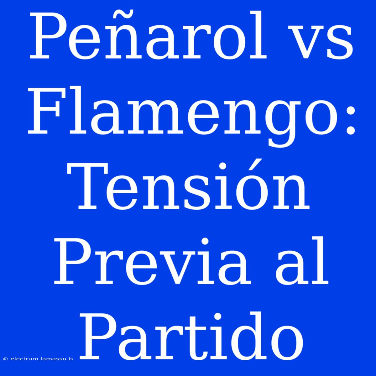 Peñarol Vs Flamengo: Tensión Previa Al Partido