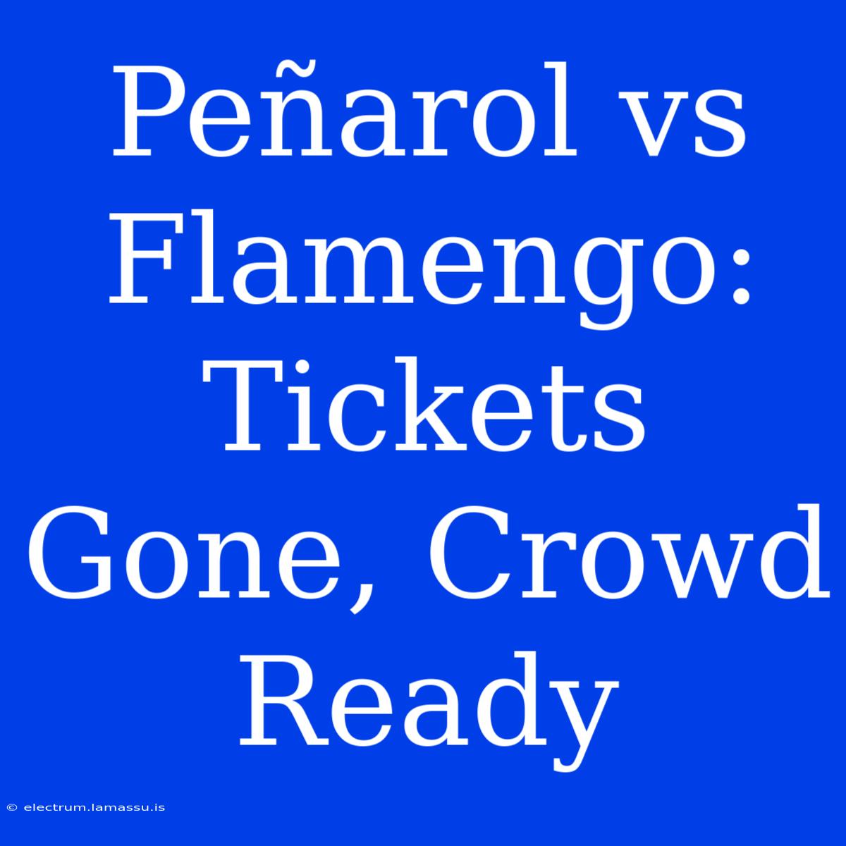 Peñarol Vs Flamengo: Tickets Gone, Crowd Ready