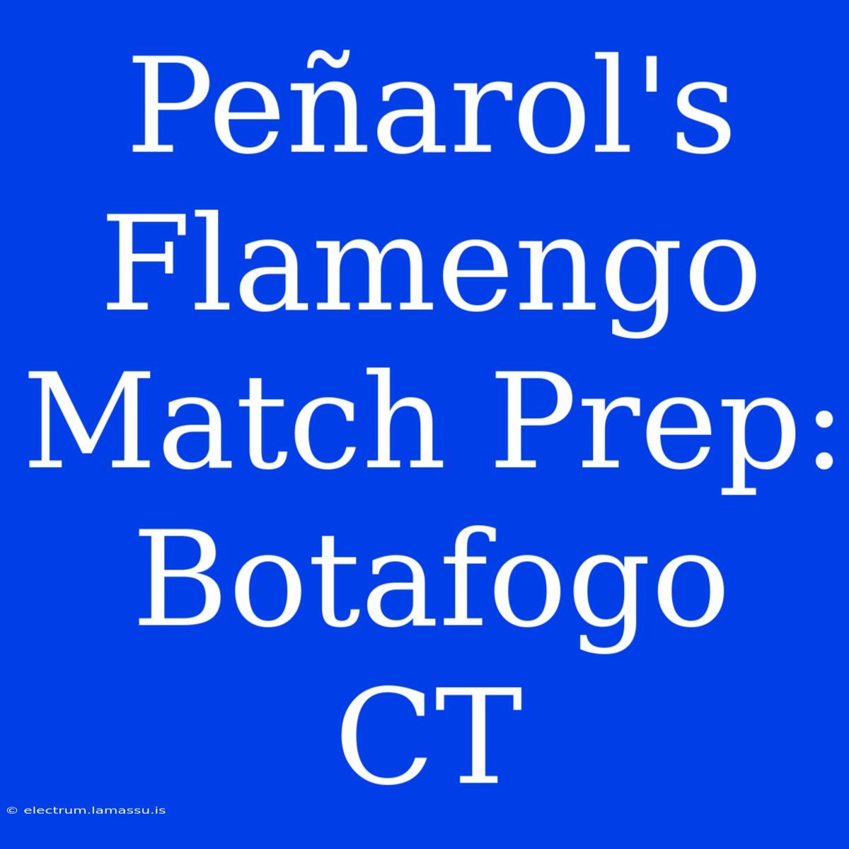 Peñarol's Flamengo Match Prep: Botafogo CT 