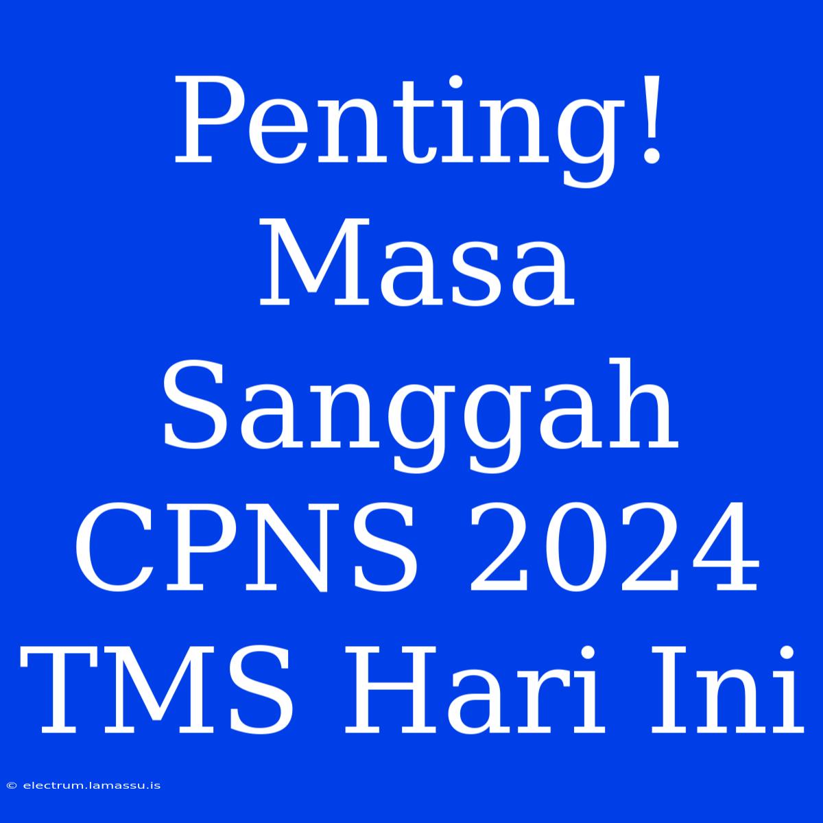 Penting! Masa Sanggah CPNS 2024 TMS Hari Ini