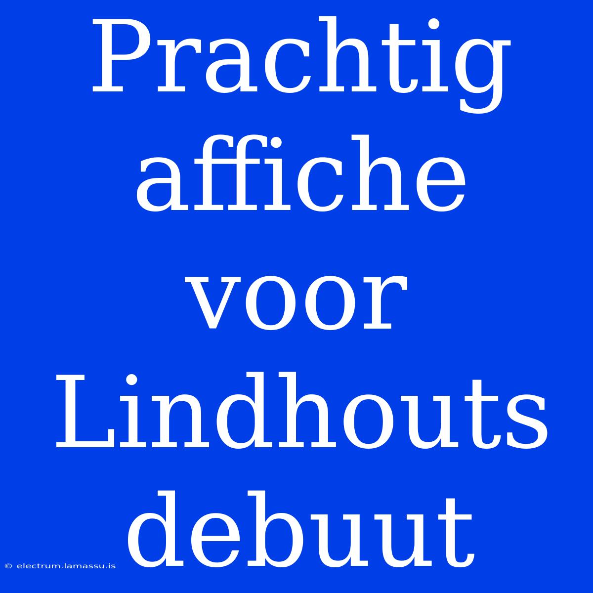 Prachtig Affiche Voor Lindhouts Debuut