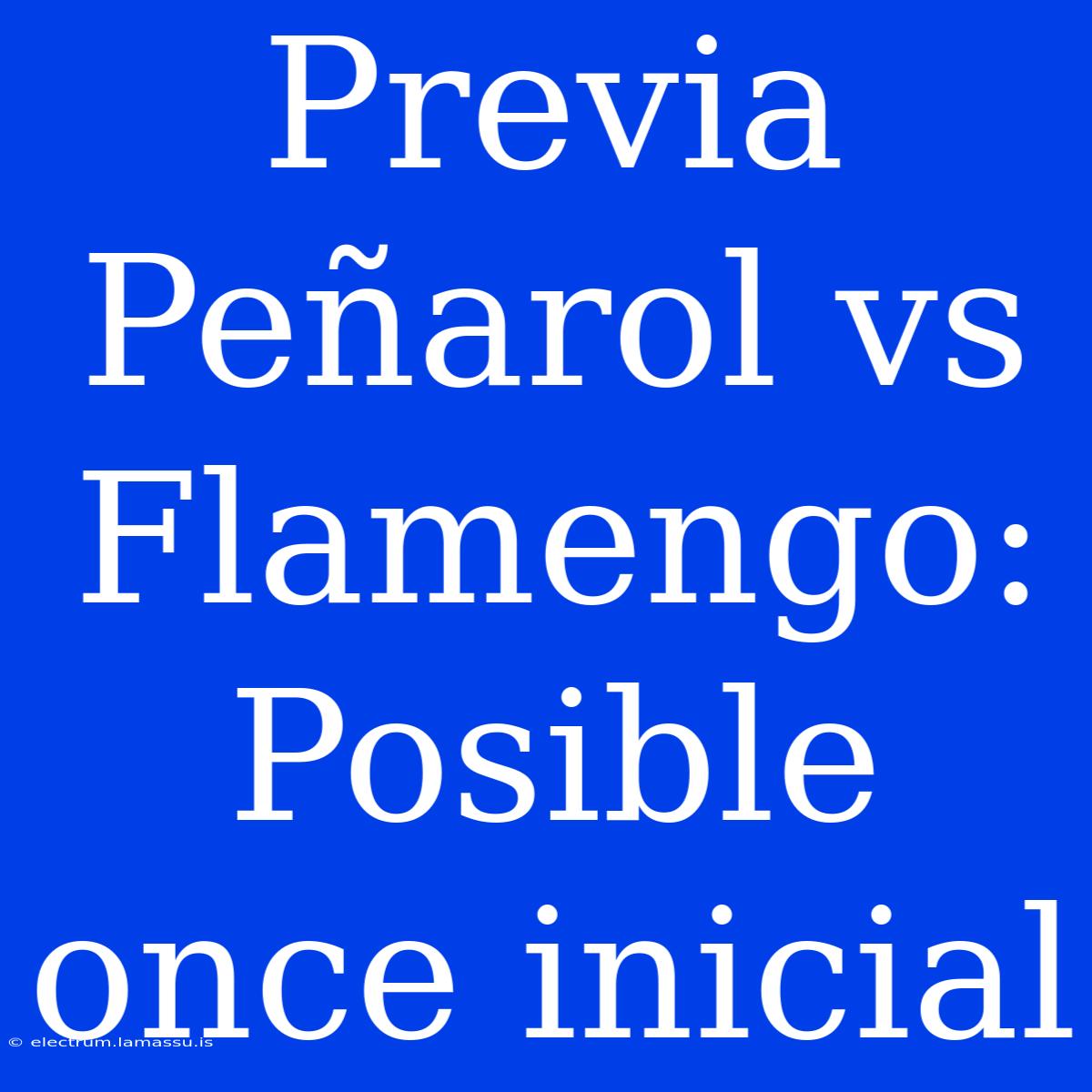 Previa Peñarol Vs Flamengo: Posible Once Inicial