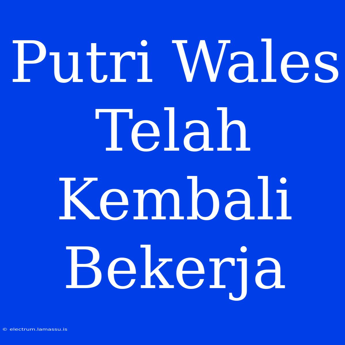 Putri Wales Telah Kembali Bekerja