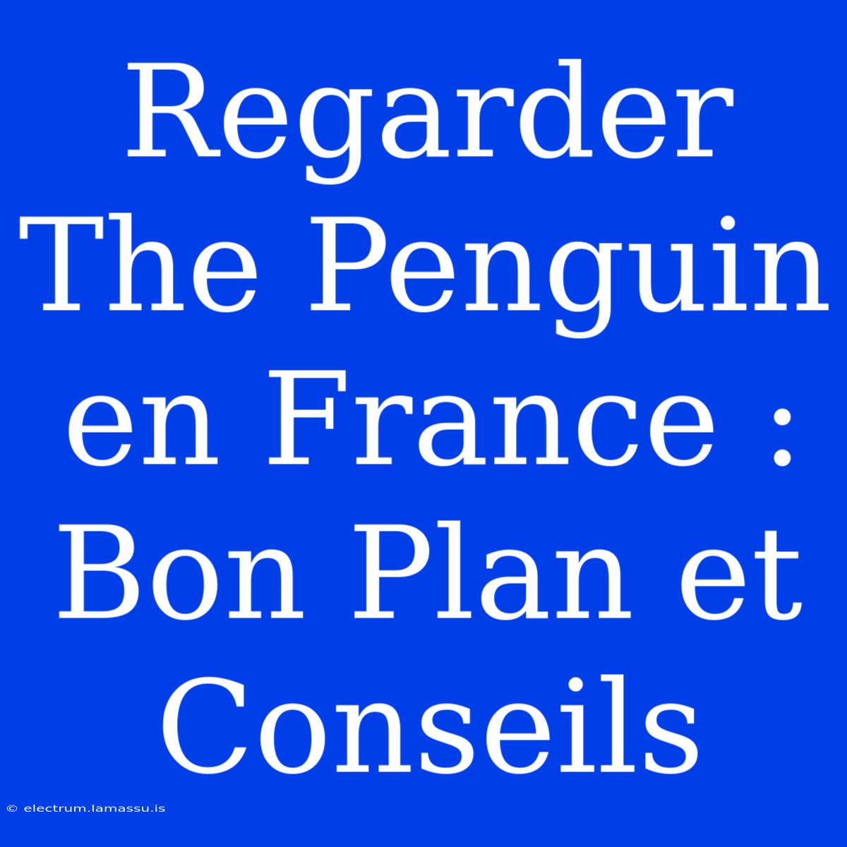 Regarder The Penguin En France : Bon Plan Et Conseils