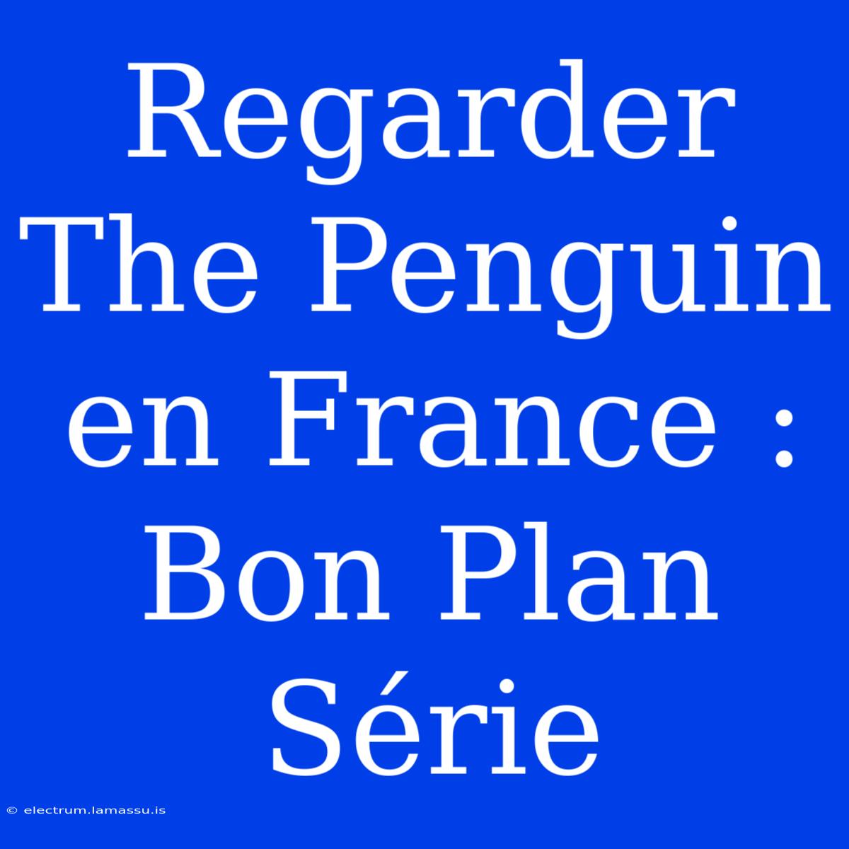 Regarder The Penguin En France : Bon Plan Série