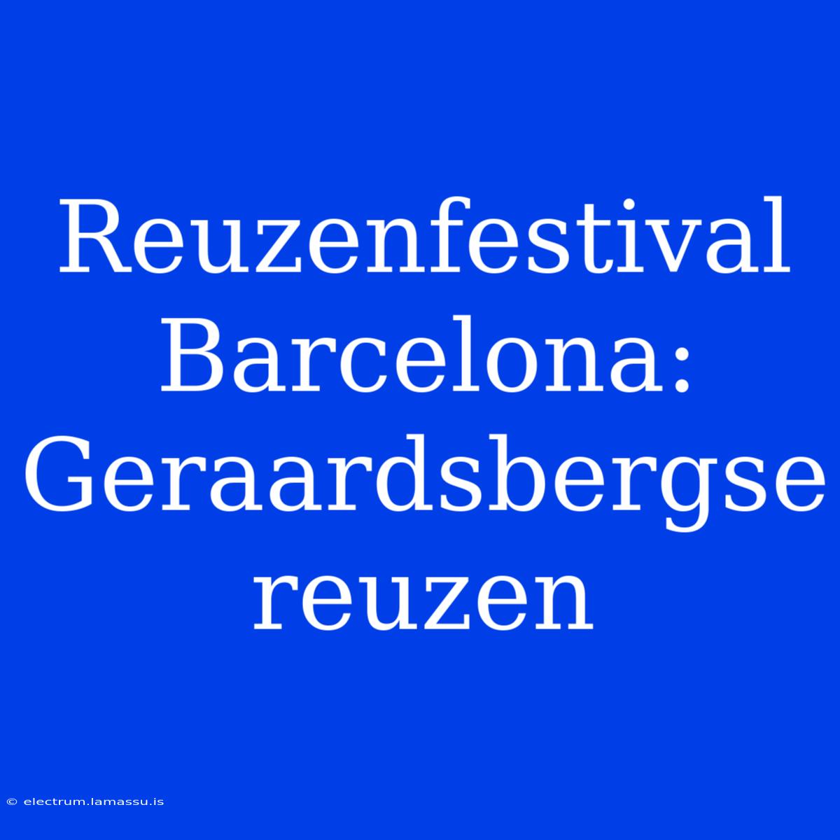 Reuzenfestival Barcelona: Geraardsbergse Reuzen 