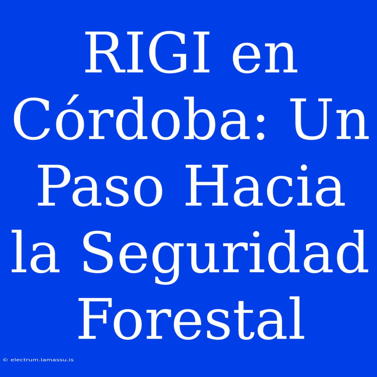 RIGI En Córdoba: Un Paso Hacia La Seguridad Forestal 