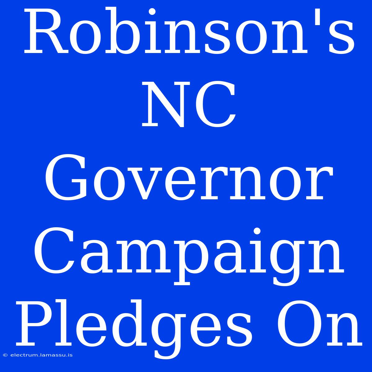 Robinson's NC Governor Campaign Pledges On