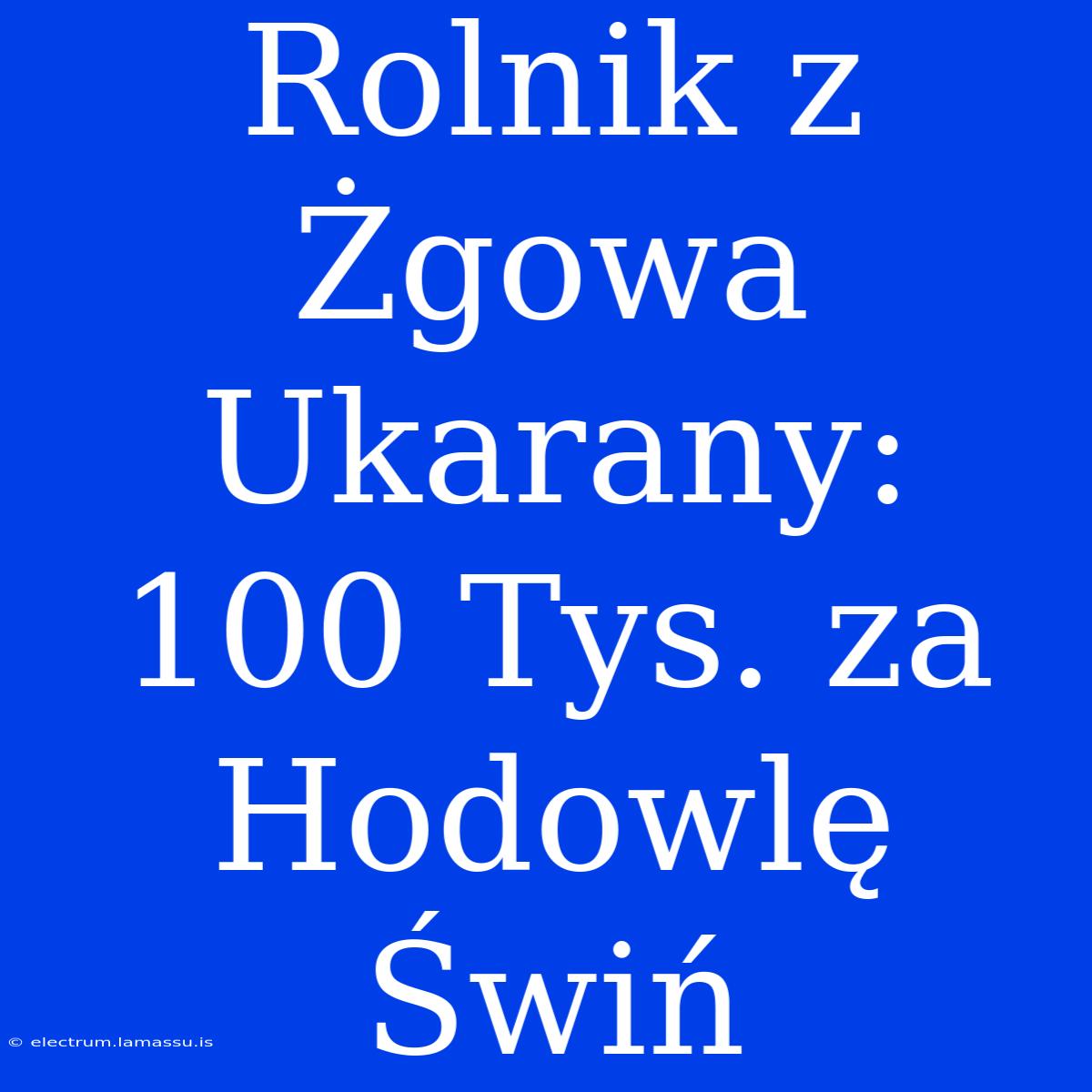 Rolnik Z Żgowa Ukarany: 100 Tys. Za Hodowlę Świń 