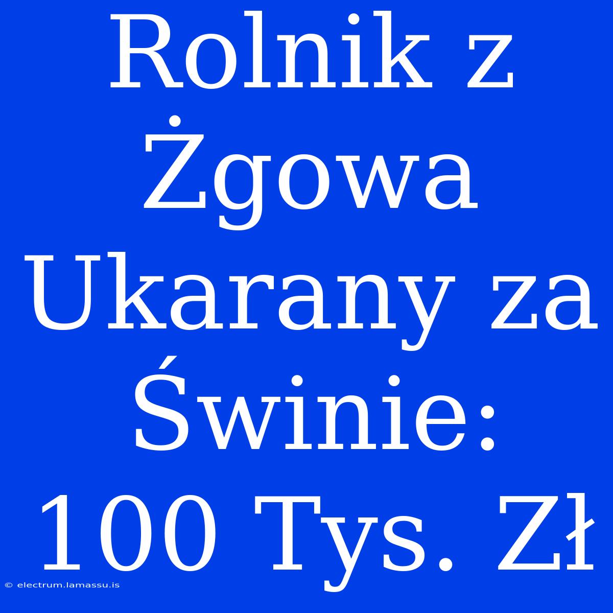 Rolnik Z Żgowa Ukarany Za Świnie: 100 Tys. Zł