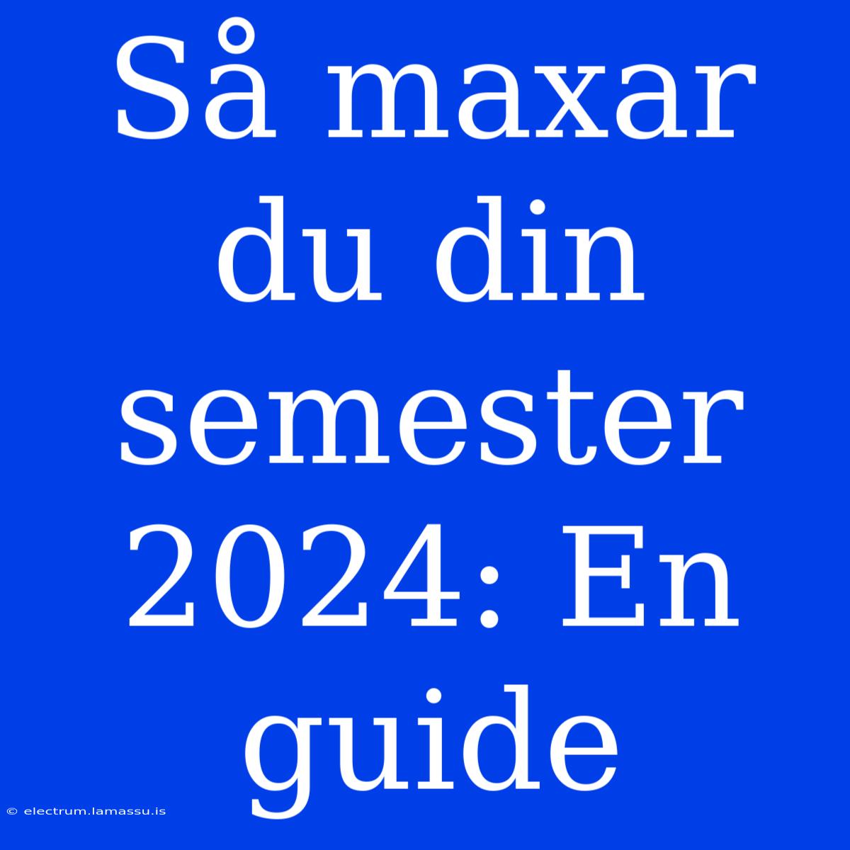 Så Maxar Du Din Semester 2024: En Guide