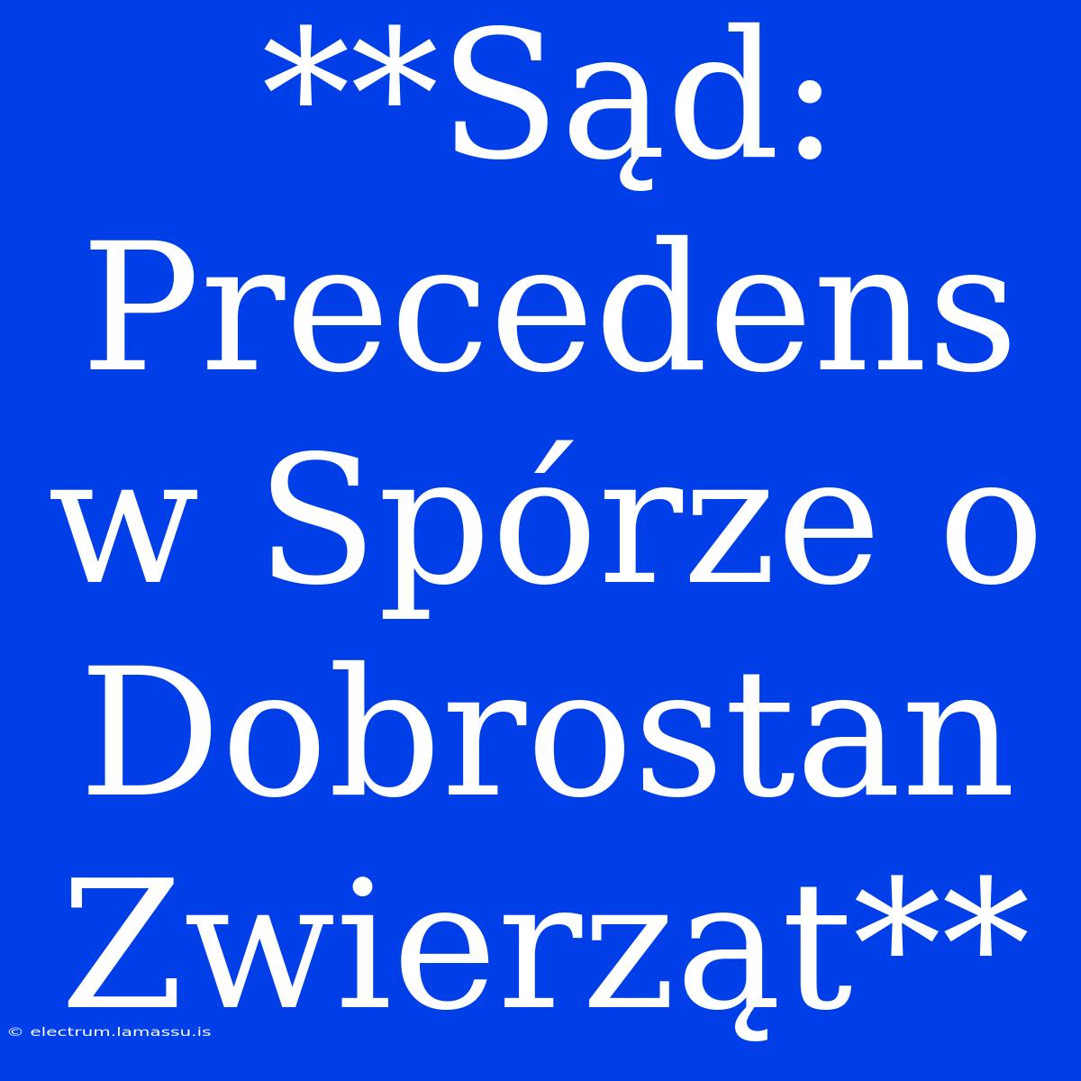 **Sąd: Precedens W Spórze O Dobrostan Zwierząt**