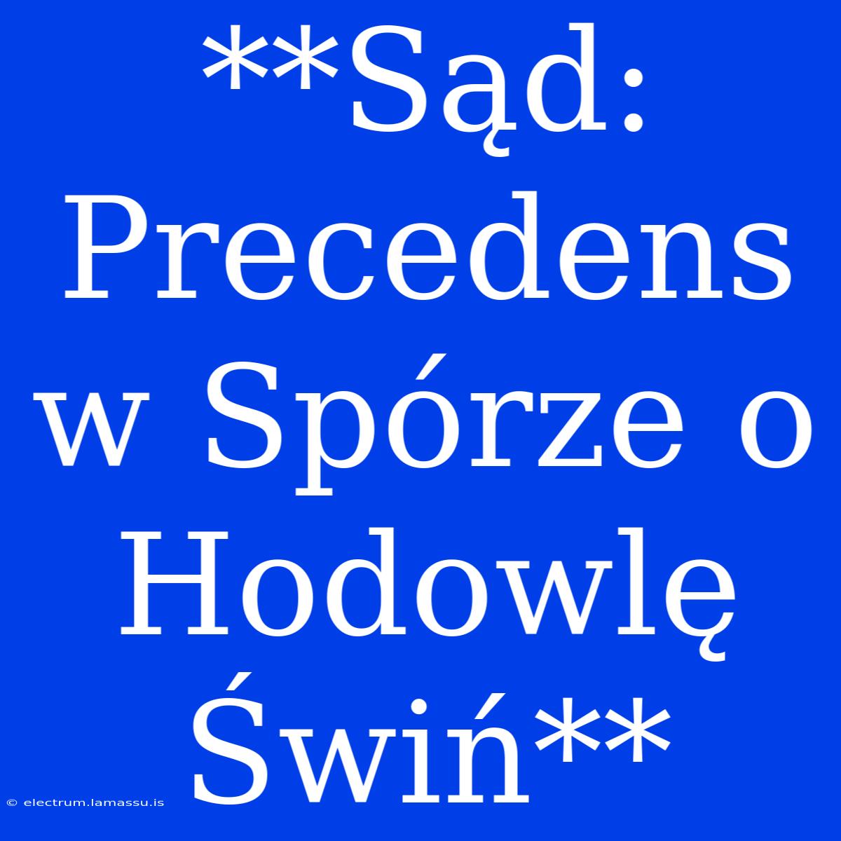 **Sąd: Precedens W Spórze O Hodowlę Świń**