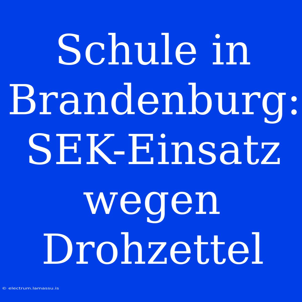 Schule In Brandenburg: SEK-Einsatz Wegen Drohzettel