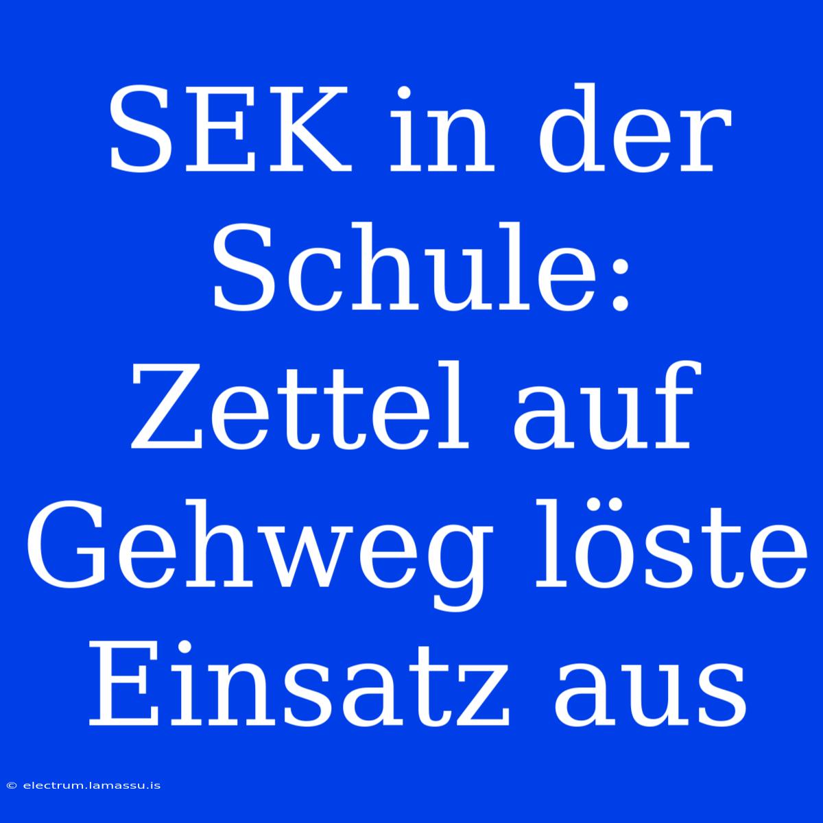 SEK In Der Schule: Zettel Auf Gehweg Löste Einsatz Aus