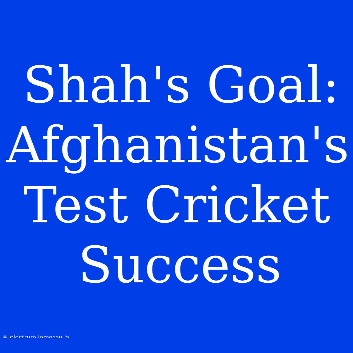 Shah's Goal: Afghanistan's Test Cricket Success