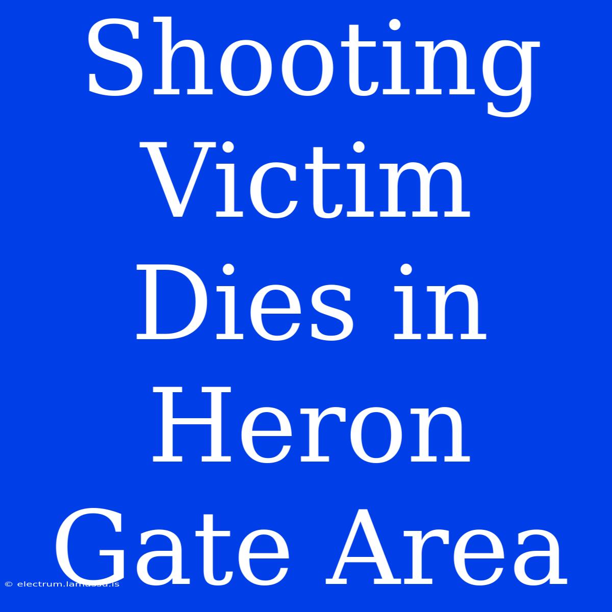 Shooting Victim Dies In Heron Gate Area