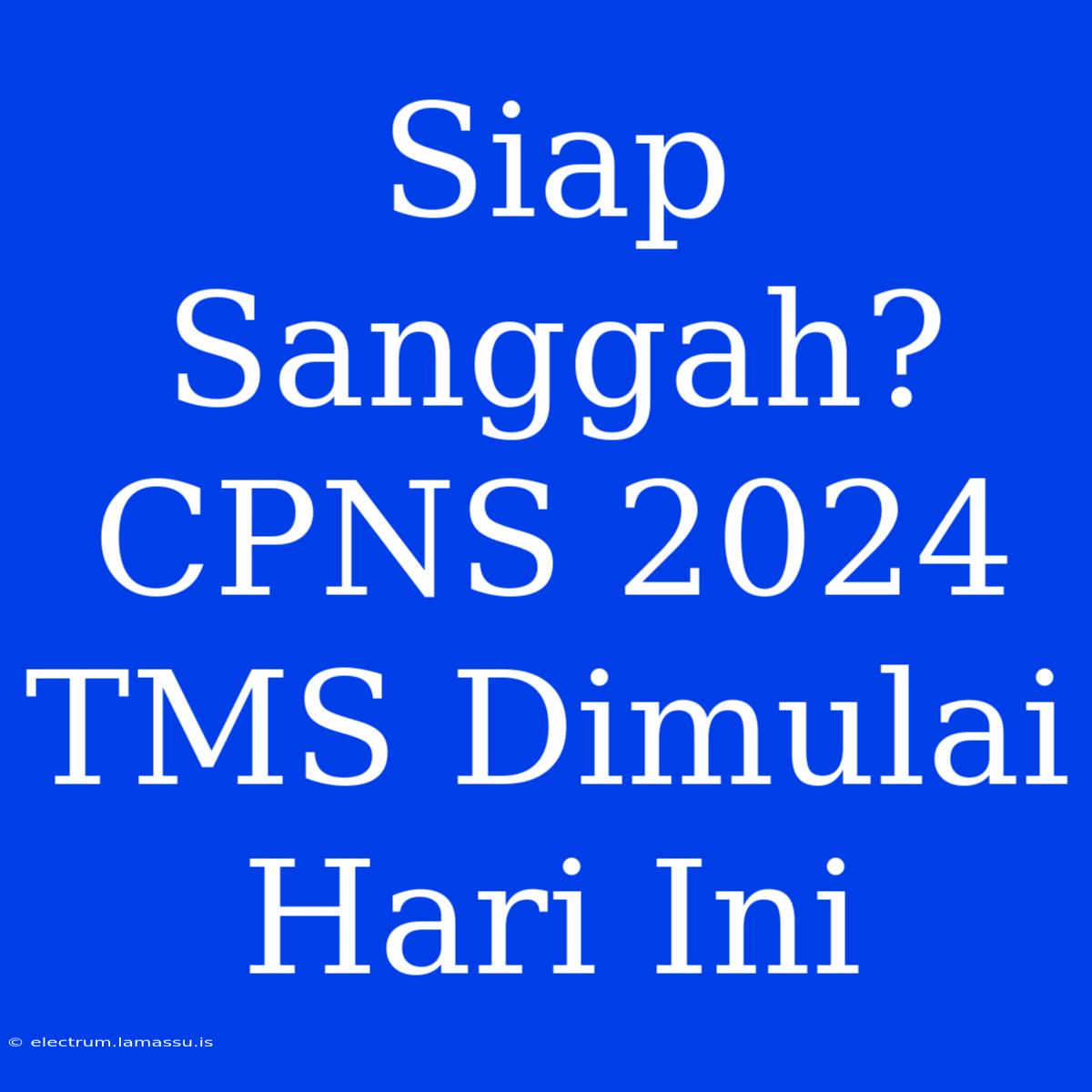 Siap Sanggah? CPNS 2024 TMS Dimulai Hari Ini