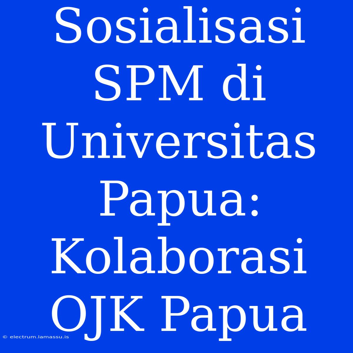 Sosialisasi SPM Di Universitas Papua: Kolaborasi OJK Papua